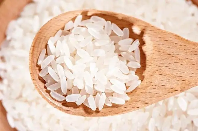 大米的种植技术与要求